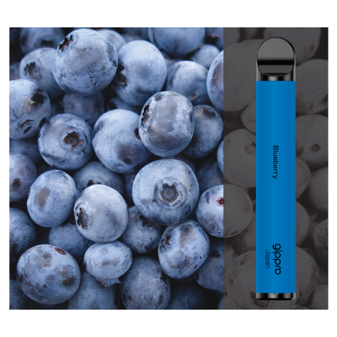 Gippro - Blueberry 3,000 Puff
